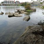 Theodore Roosevelt Island