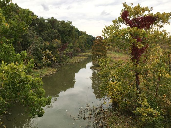 Theodore Roosevelt Island