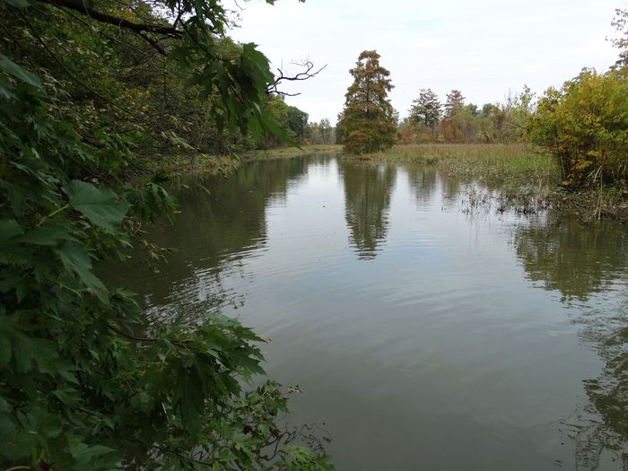 Theodore Roosevelt Island