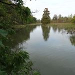 Theodore Roosevelt Island