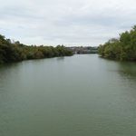 Theodore Roosevelt Island