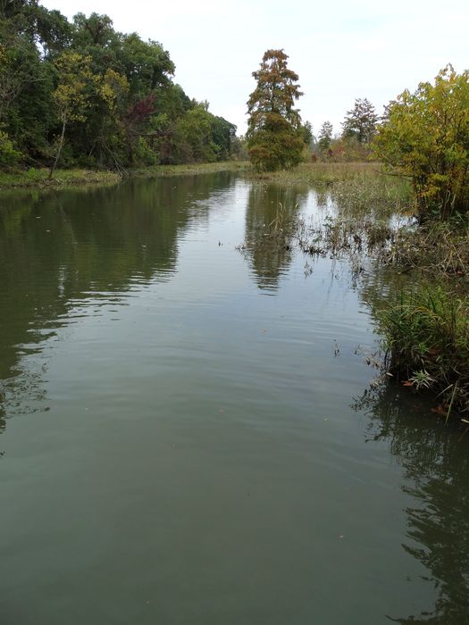 Theodore Roosevelt Island