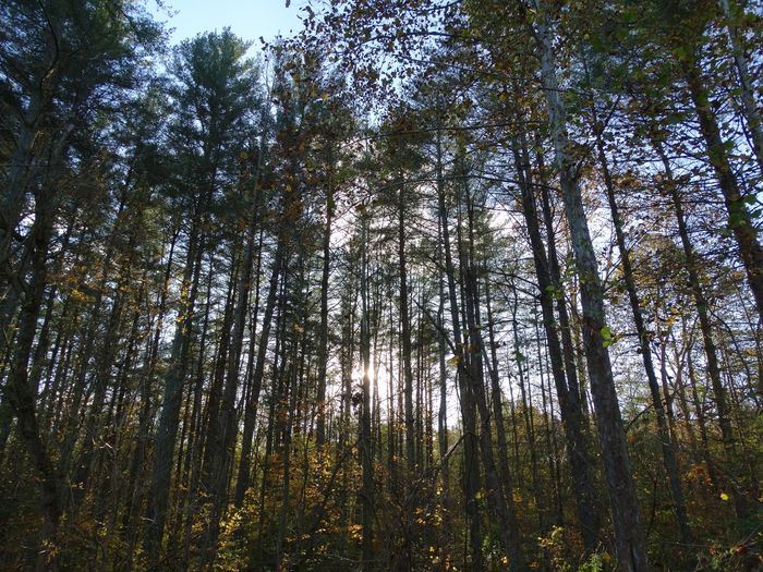 Autumn
