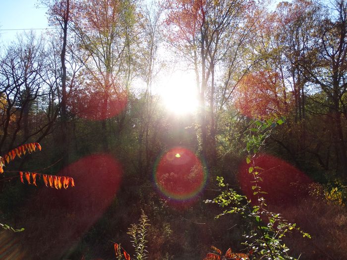 Autumn