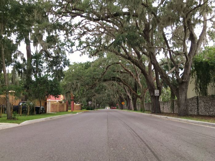 St. Augustine