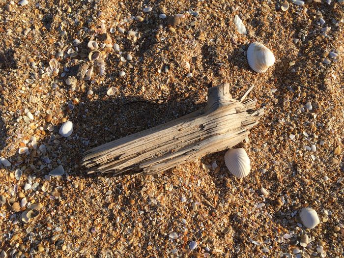 South Ponte Vedra Beach