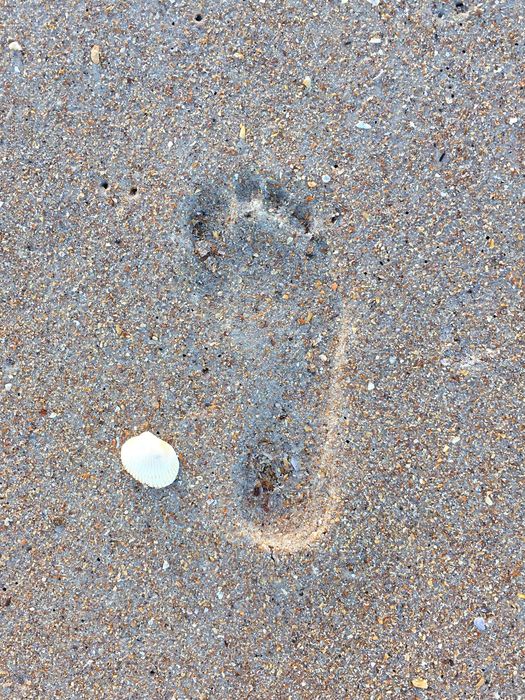 South Ponte Vedra Beach