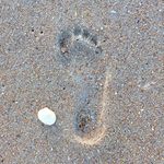 South Ponte Vedra Beach, Florida - 10/31/2018