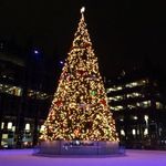Light Up Night
