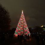 Light Up Night