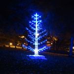 Light Up Night