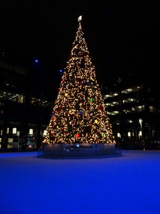 Light Up Night