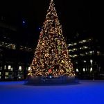 Light Up Night