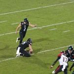 Bobcats