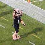 Rufus