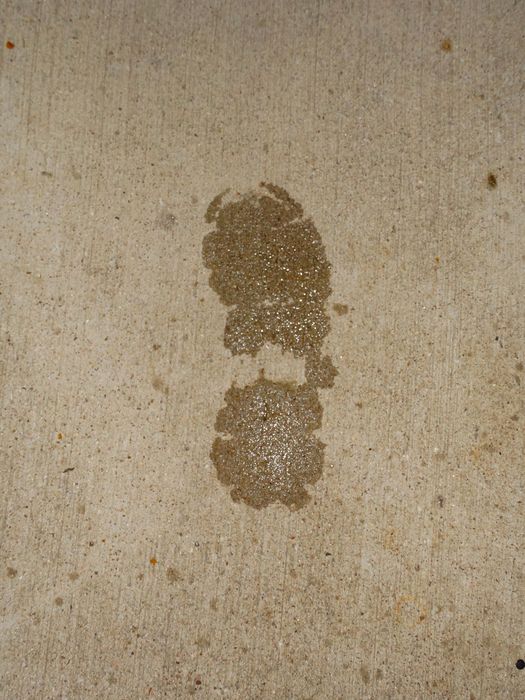 My Footprint