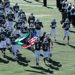 Bobcats