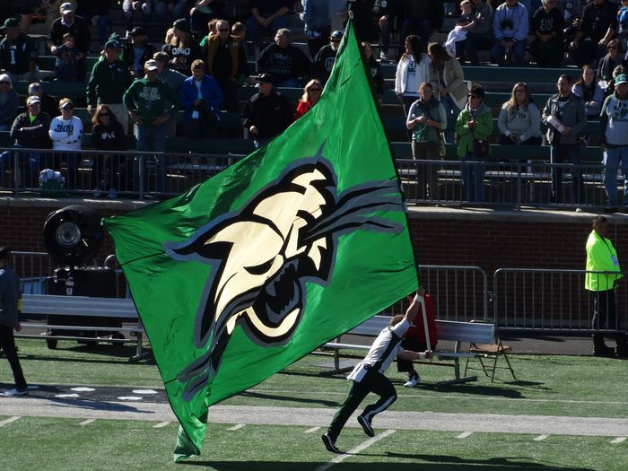 Bobcats