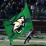 Bobcats