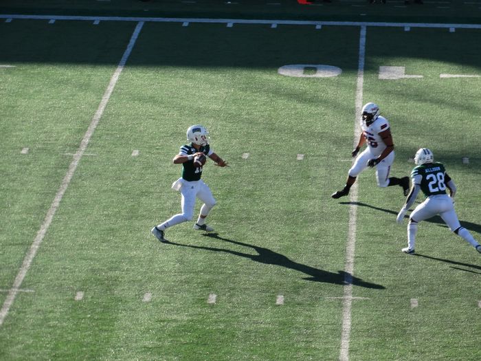 Bobcats