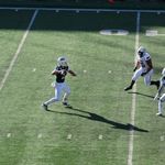 Bobcats