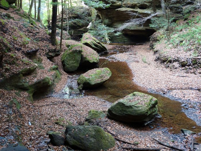 Old Man's Cave