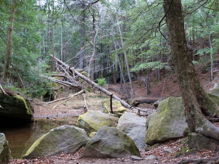 Old Man's Cave