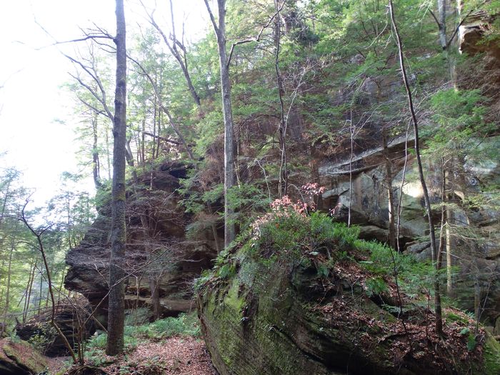 Old Man's Cave