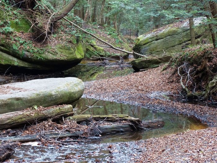 Old Man's Cave