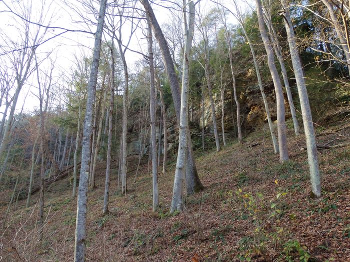 Old Man's Cave
