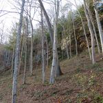 Old Man's Cave