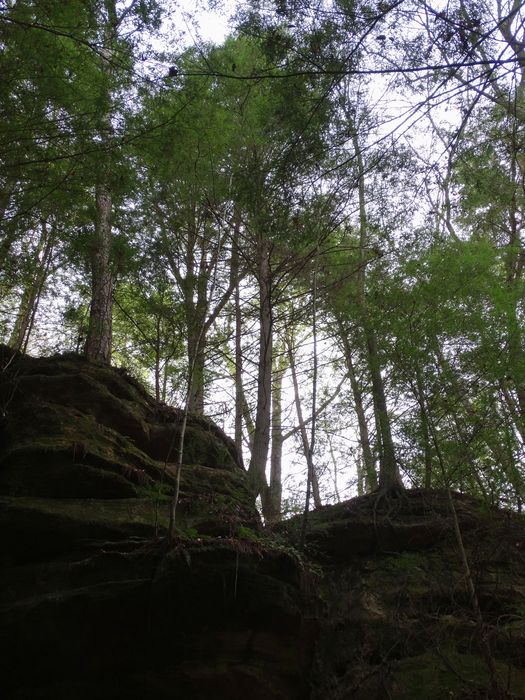 Old Man's Cave