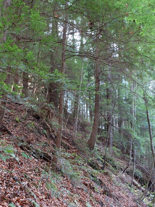 Old Man's Cave