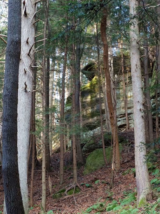 Old Man's Cave