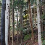 Old Man's Cave