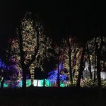Washington DC Temple
