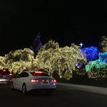 Washington DC Temple