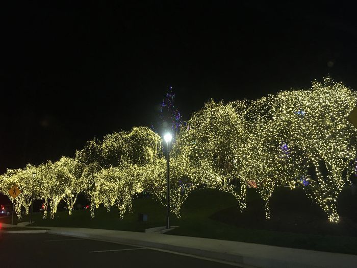 Washington DC Temple