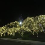 Washington DC Temple