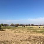 Gravelly Point