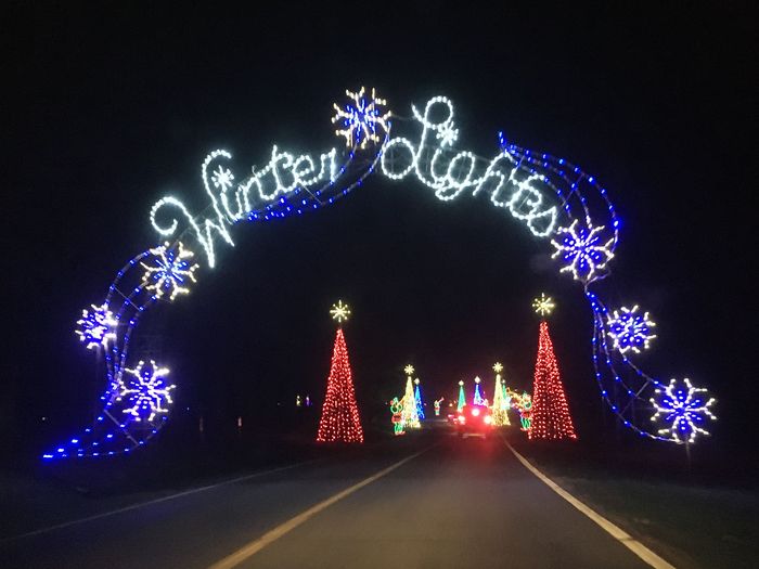 Winter Lights