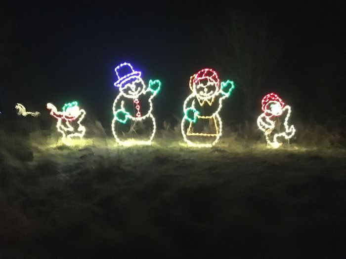 Winter Lights