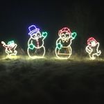 Winter Lights