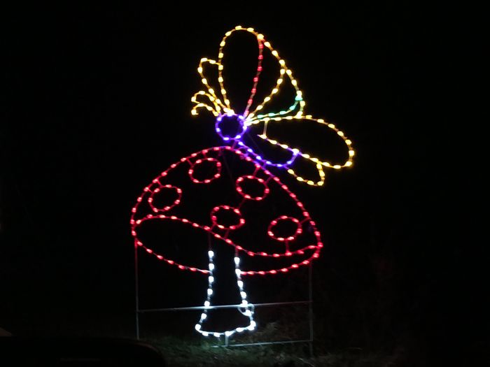 Winter Lights
