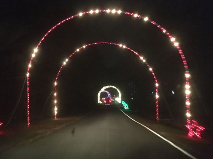 Winter Lights