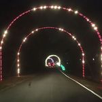 Winter Lights