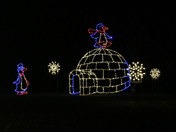 Winter Lights