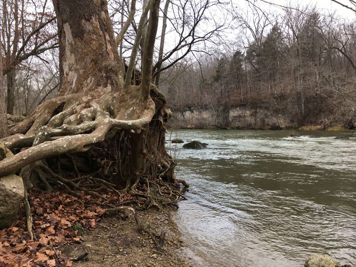Paint Creek State Park Dam