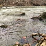 Paint Creek State Park Dam