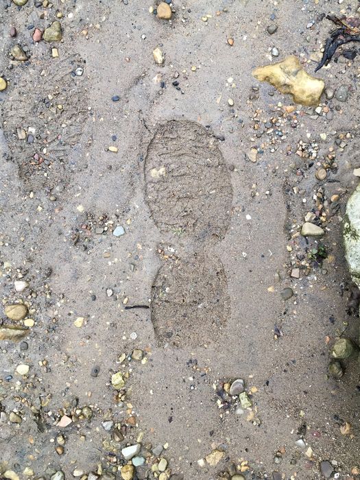 My Ftooprint